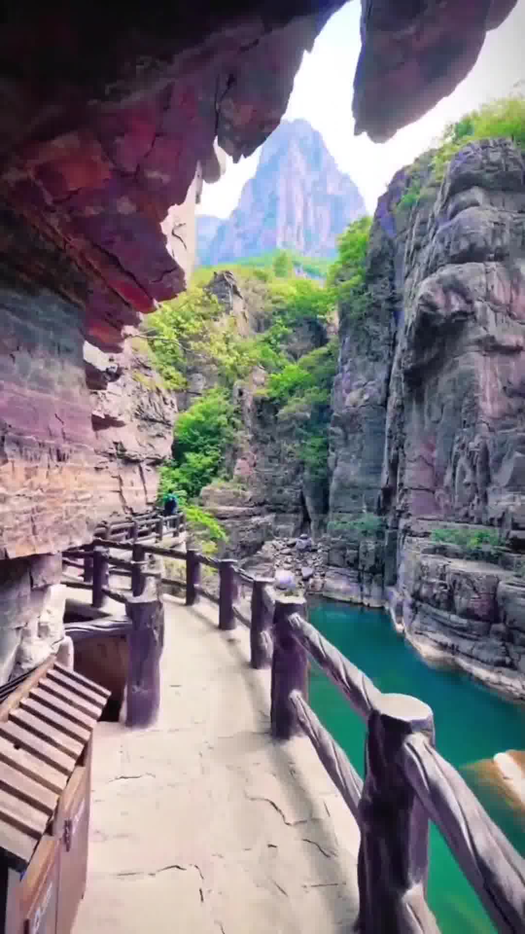 河南之光,高科技产品引领未来,科技重塑生活体验