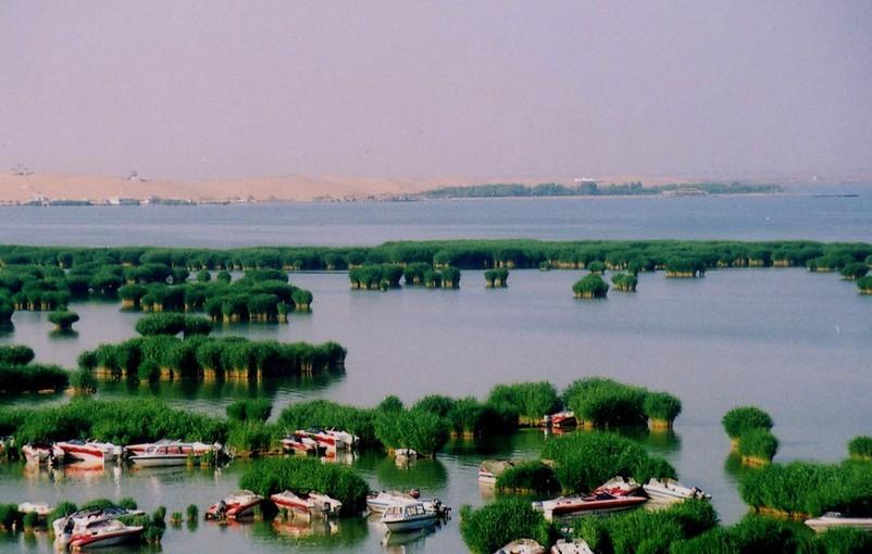 宁夏的魅力与风情