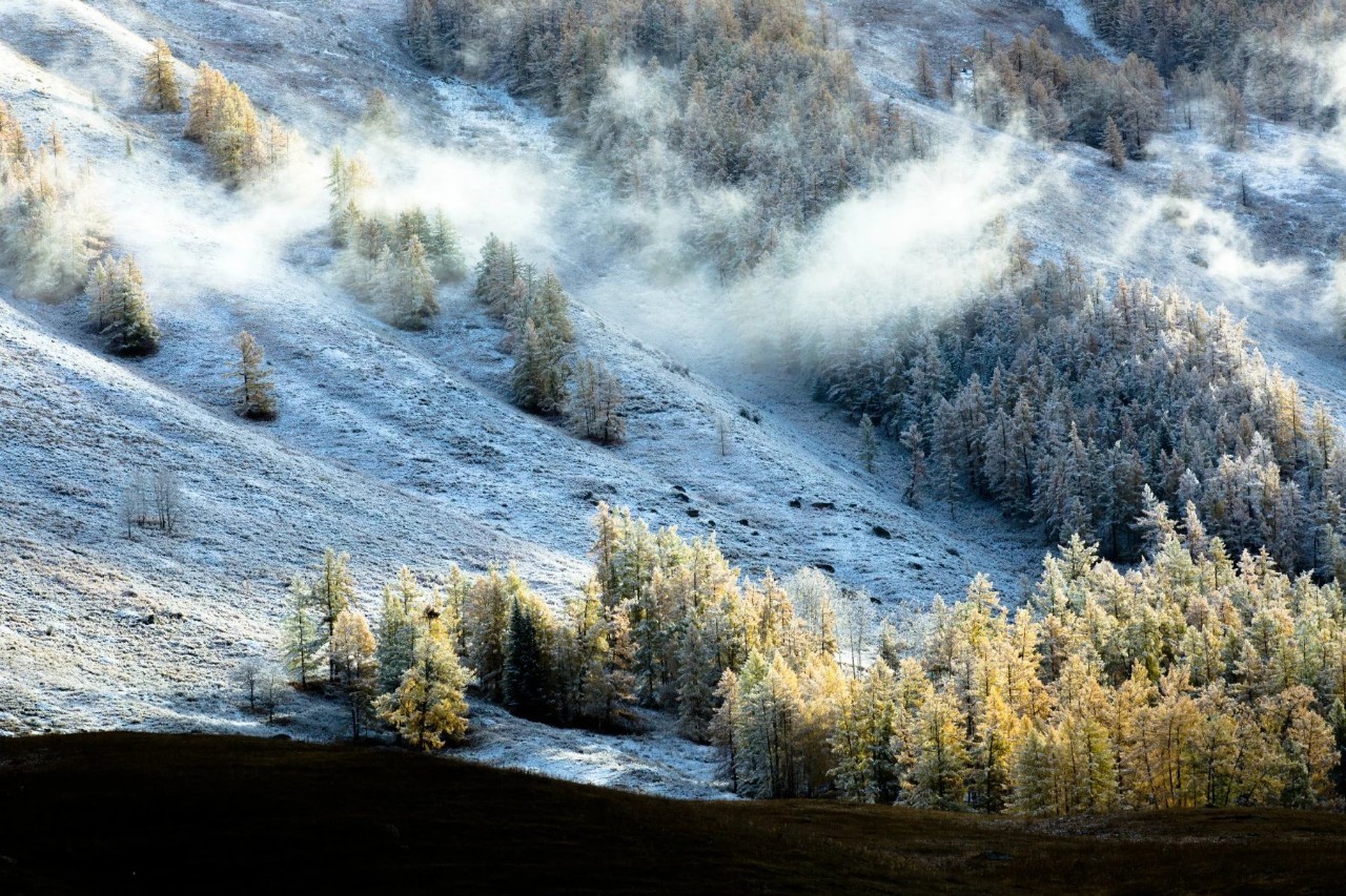 丝路明珠，新疆多元文化的历史长河